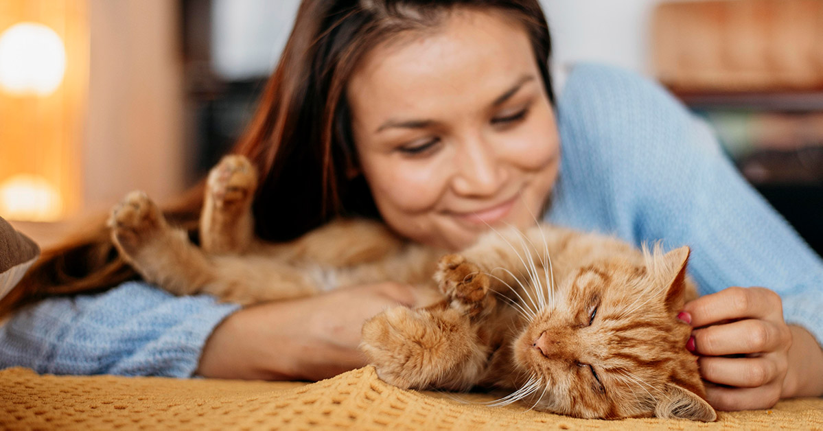 5 Tips que te ayudarán a prevenir la alergia al pelo de tu gato